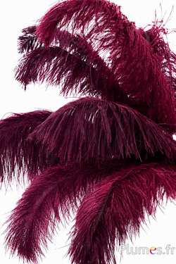 Struisvogel - 30-40 cm - grijs natuurlijk-bordeaux